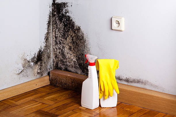 Crawl Space Mold Removal in Maine, WI